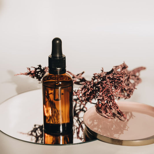 Descubre Cómo el Bakuchiol Puede Rejuvenecer Tu Piel Mientras Duermes